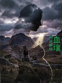 血壤